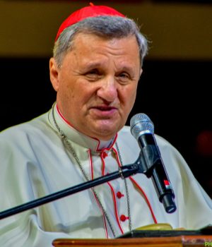 card-grech-