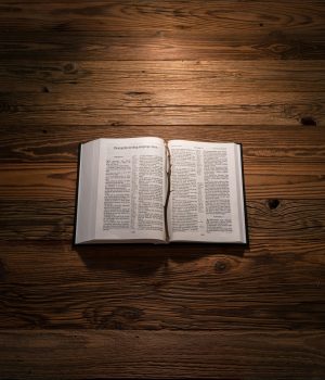 pexels-roman-ziomka-262758540-15382621