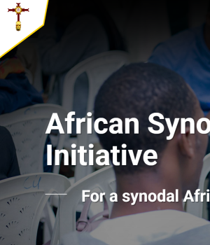 African synodal initiative